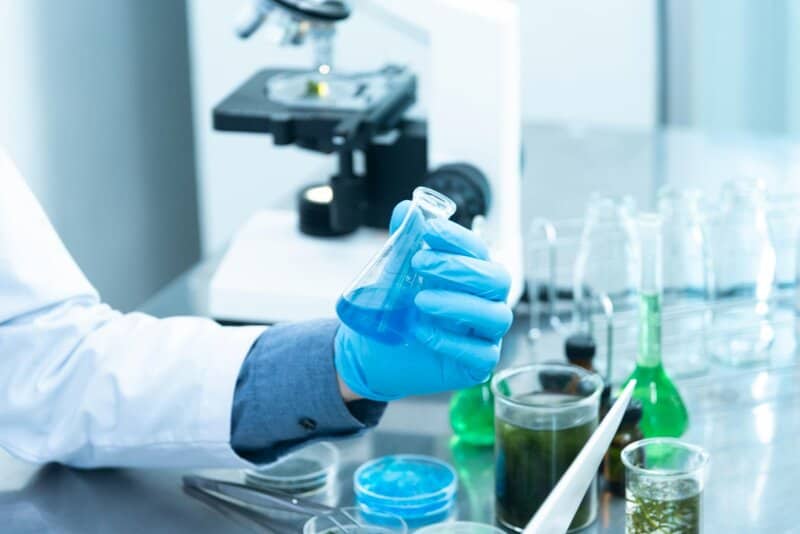 The Microscopic Vampire That Could Cure Candida Infections
