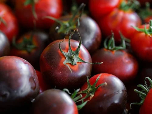 15 Strange Foods Scientists Have Created in the Lab