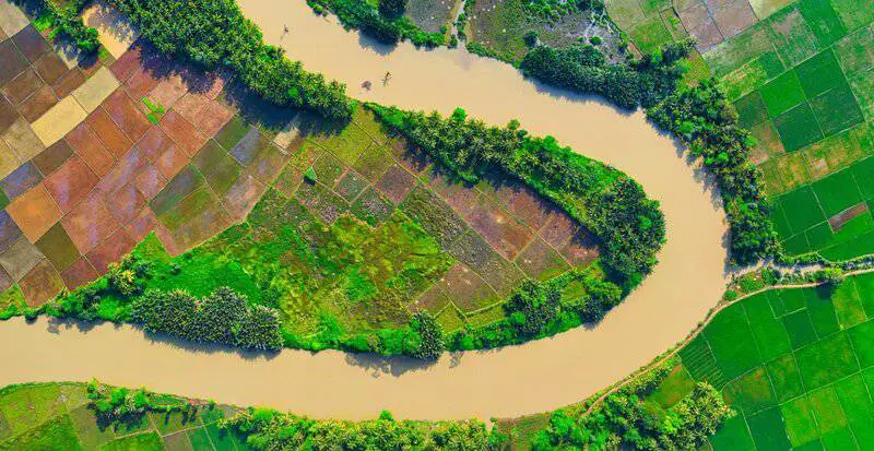 Ancient Amazonians Built 6,000 Connected Platforms – Lost Civilization Found
