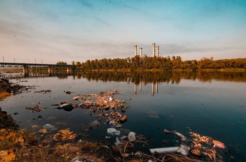 The Mississippi River Dried Up and Revealed Environmental Horrors Nobody Was Prepared For