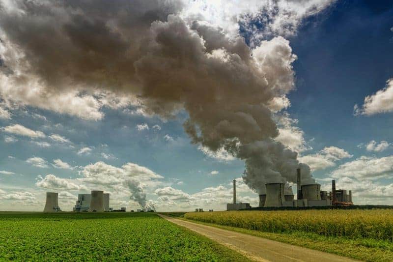 Forest Apocalypse: Why 2025’s Deforestation Crisis Threatens Human Civilization