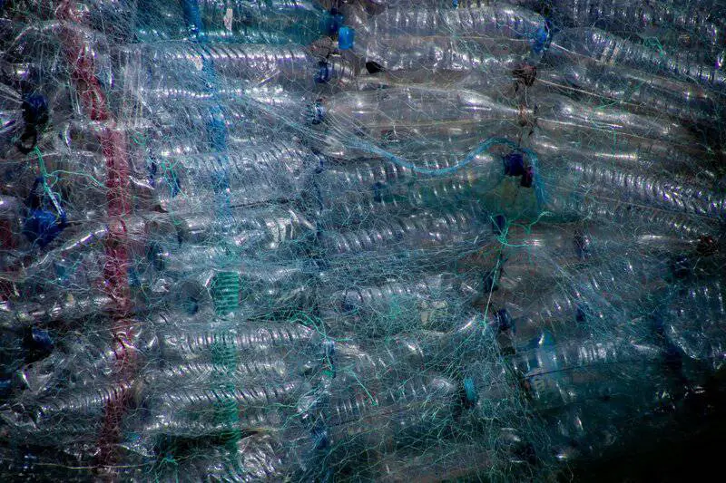 15 Ways Scientists Are Tackling the Climate Crisis Right Now