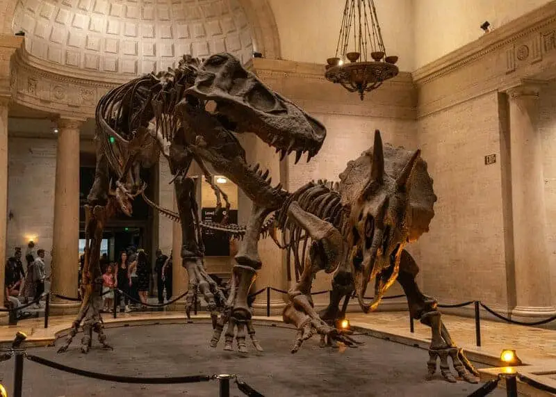 The 289-Million-Year-Old Skin That Rewrites Evolution History