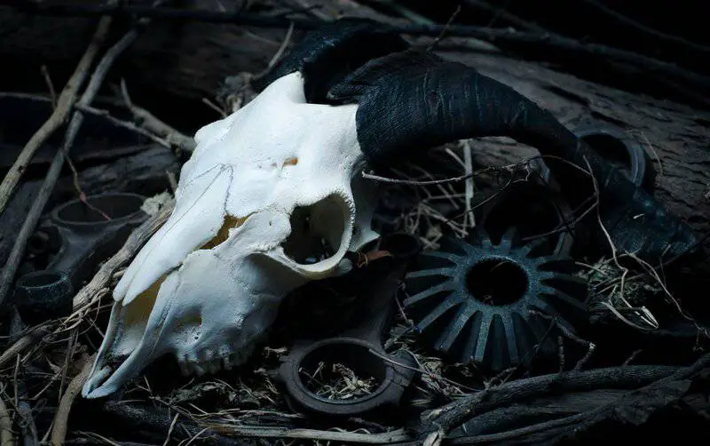 The Mississippi River Dried Up and Revealed Environmental Horrors Nobody Was Prepared For