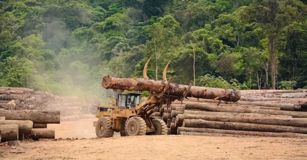 Forest Apocalypse: Why 2025’s Deforestation Crisis Threatens Human Civilization