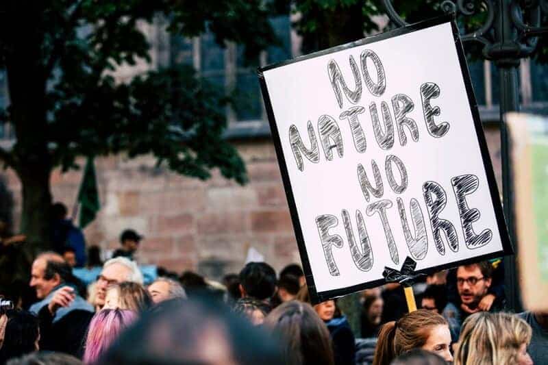 Should We Bring Back Extinct Species? What Science and Ethics Say
