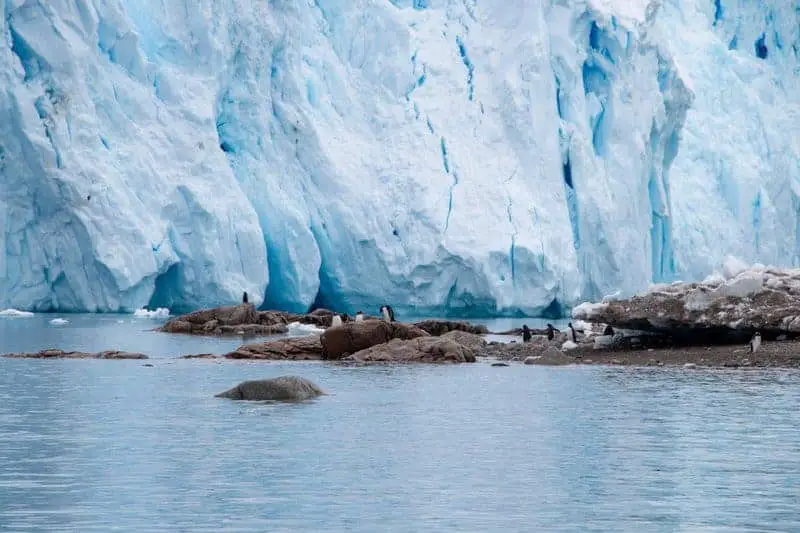 Antarctica Is Bleeding Red—And It’s Not What Climate Scientists Expected