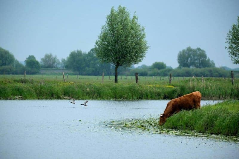 The Mississippi River Dried Up and Revealed Environmental Horrors Nobody Was Prepared For