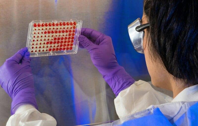 Scientists Discover Immortal Jellyfish That Reverses Aging Process