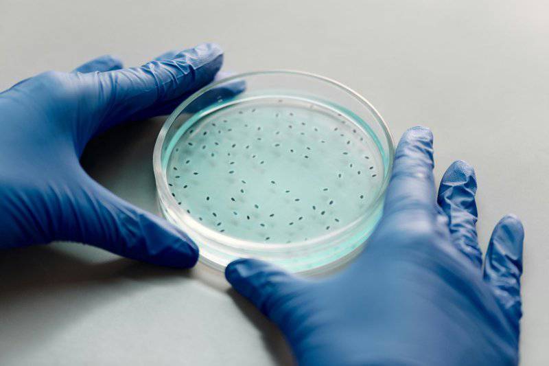 The Greatest Medical Theft in History: How One Woman’s Cancer Became Humanity’s Cure