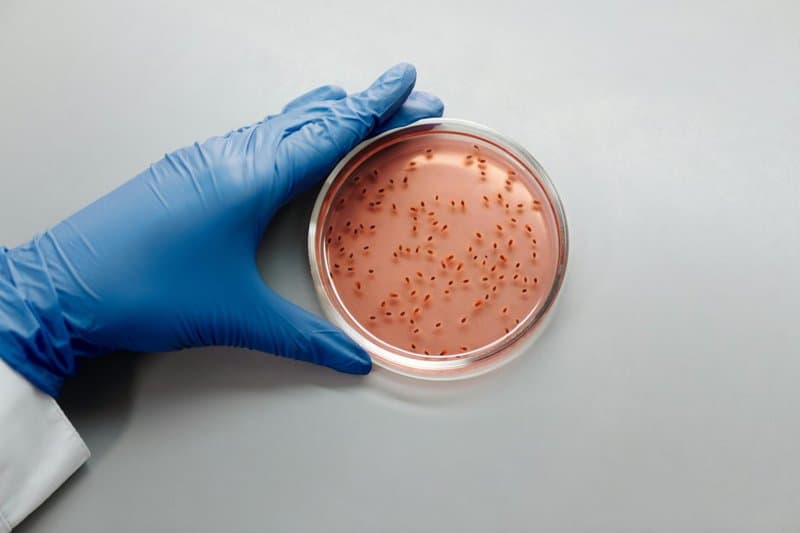 15 Medical Breakthroughs That Could Save Millions of Lives
