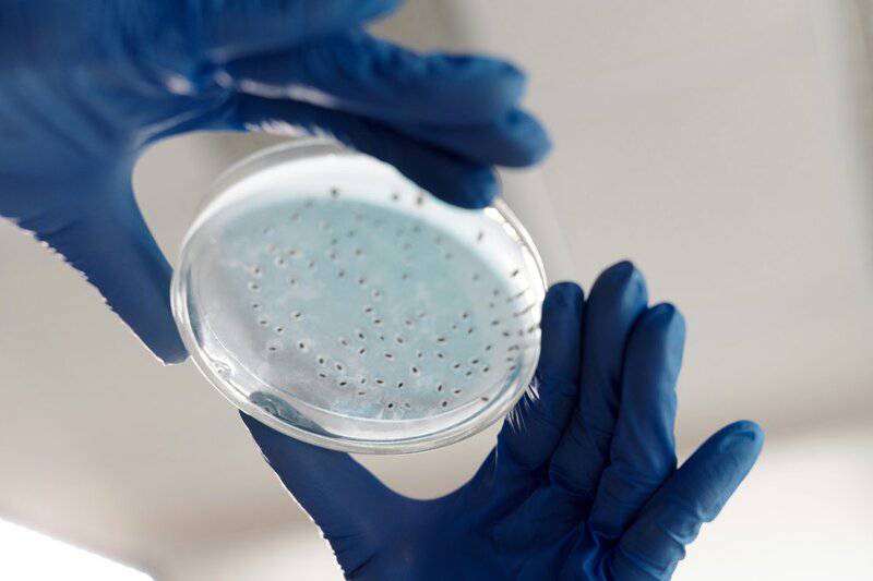 15 Recent Studies That Could Lead to Cures in the Next Decade