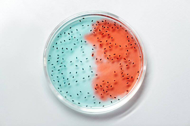 15 Experiments Bringing Us Closer to Creating Life From Scratch