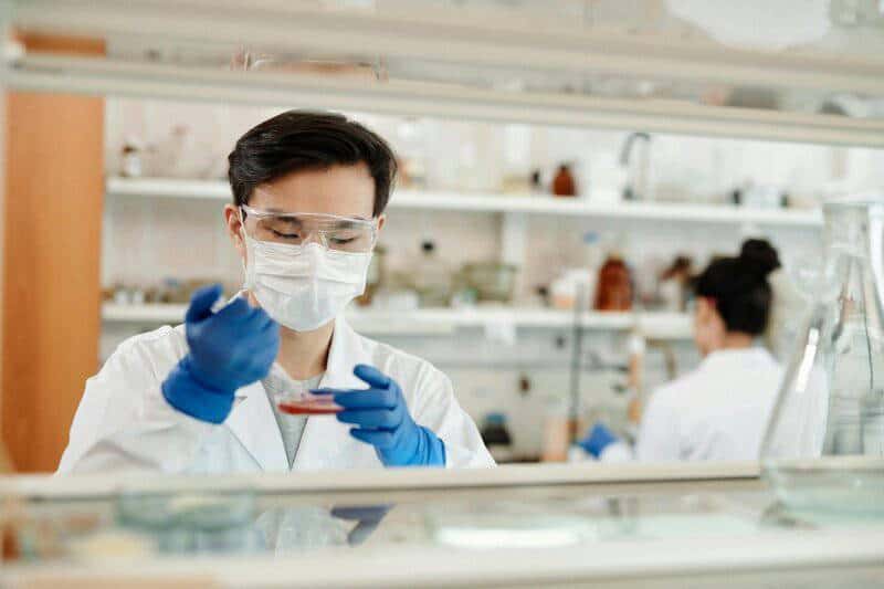 Giant Panda Stem Cells Could Save Endangered Species – Lab-Grown Conservation