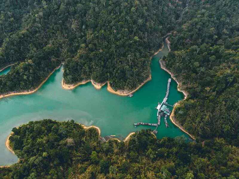 Ancient Amazonians Built 6,000 Connected Platforms – Lost Civilization Found