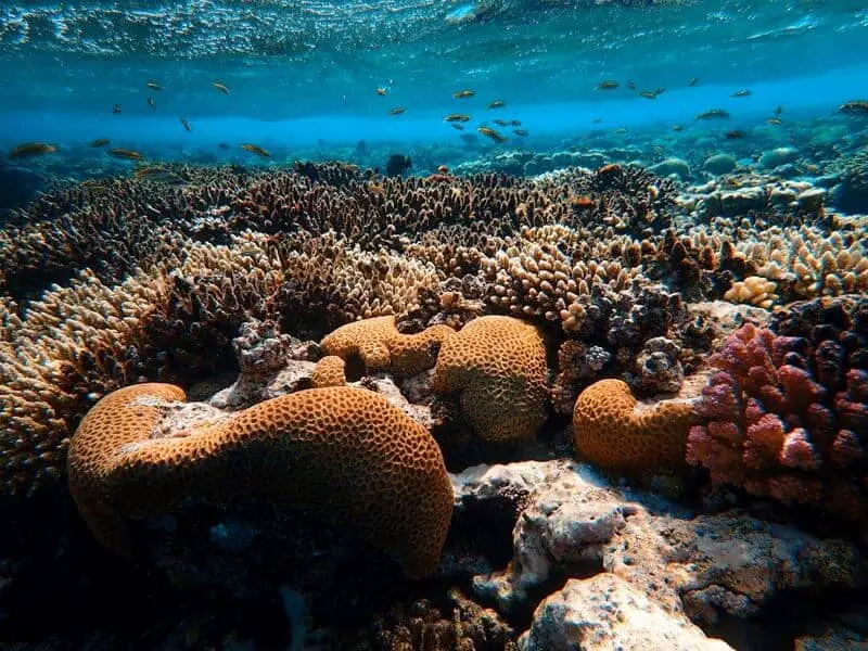 Scientists Say We May Have Been Wrong About the Origin of Life