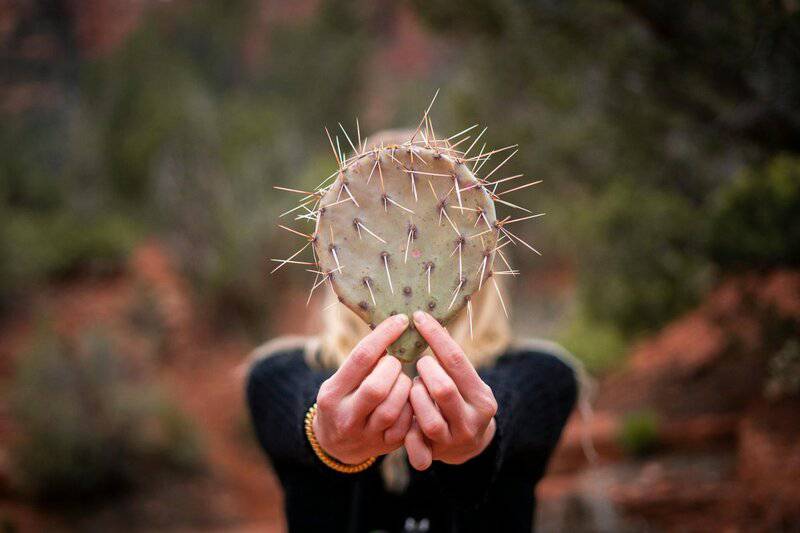 Did You Know Plants Can Do Math? These Species Can Actually Count and Remember Numbers