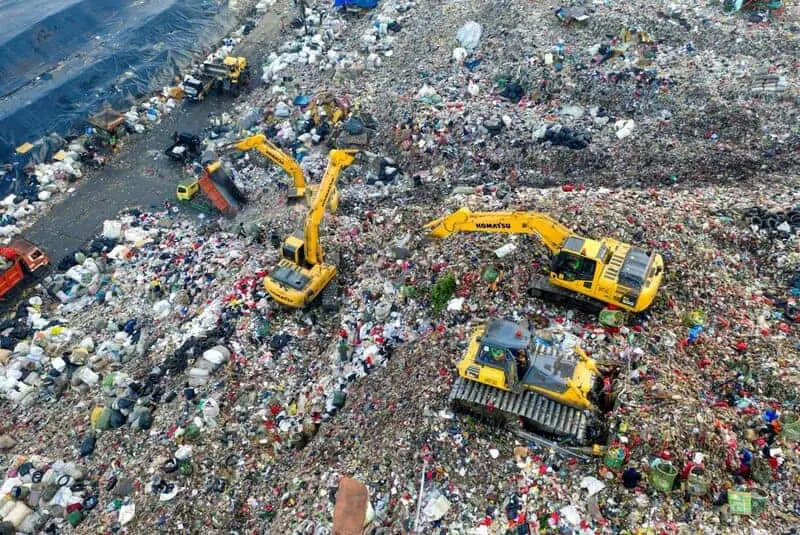 The Bacteria That Eat Plastic Waste Are Evolving Faster Than Expected