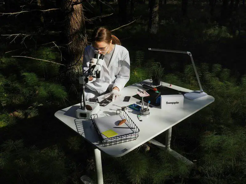 Giant Panda Stem Cells Could Save Endangered Species – Lab-Grown Conservation