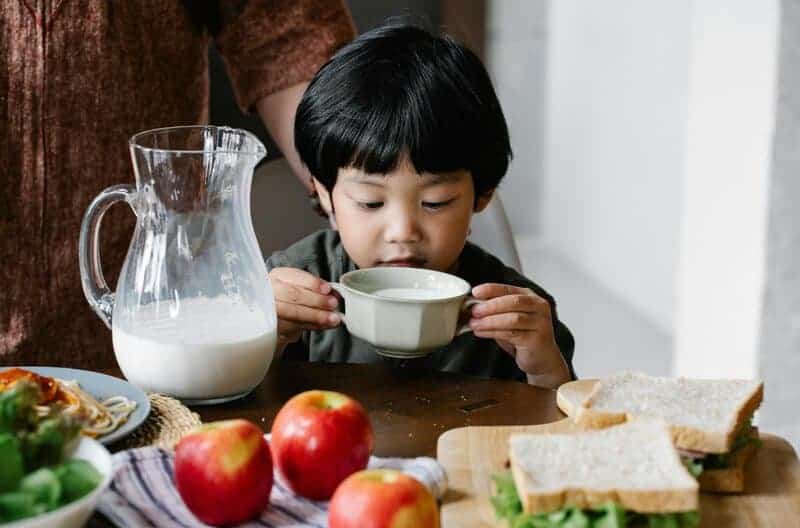 The Gut Health Revolution: How Probiotics Work Differently in Younger and Older Bodies