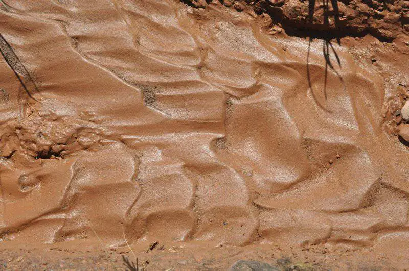 Scientists Say We May Have Been Wrong About the Origin of Life