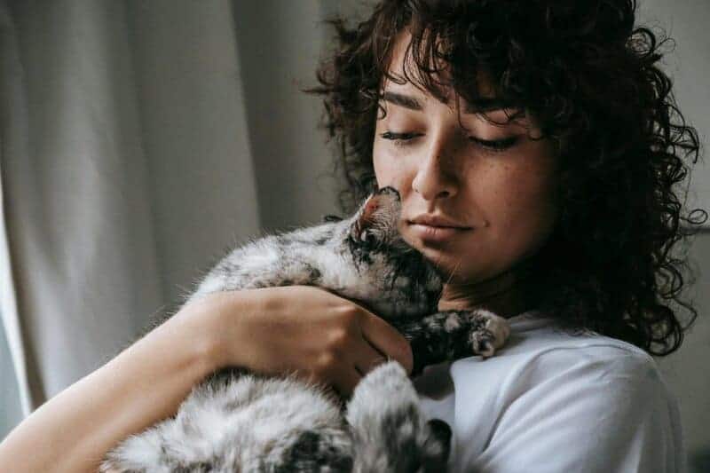 Indoor vs. Outdoor Cats: 23 Things to Know Before You Make a Decision