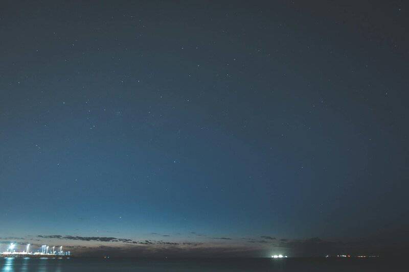 Why Forests Around the World Are Suddenly Glowing at Night