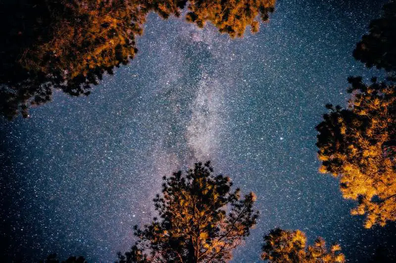 Top 15 Science Facts That Sound Fake (But Are 100% True)