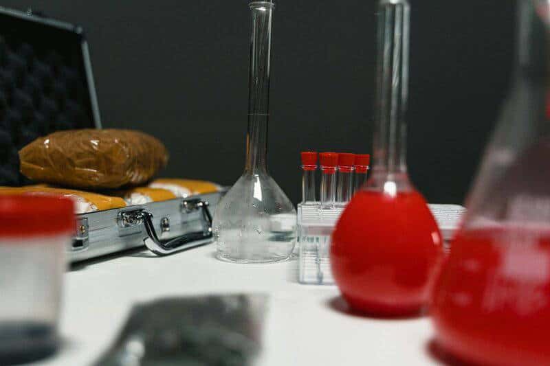The Greatest Medical Theft in History: How One Woman’s Cancer Became Humanity’s Cure