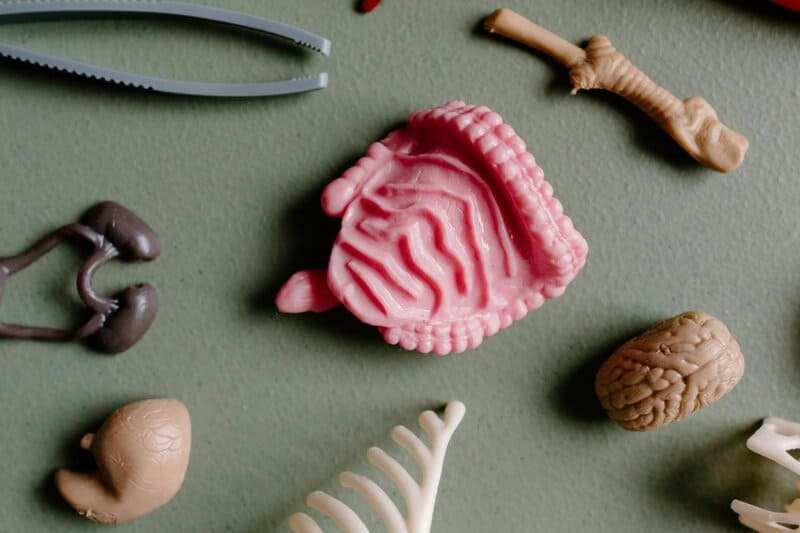 15 New Ways Scientists Are Reversing Aging in the Lab