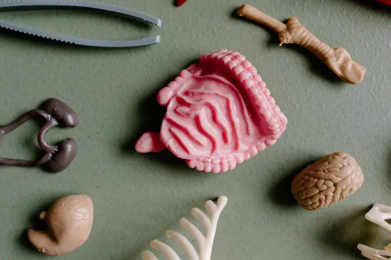 The Dark Matter of the Mind: The 95% of Your Brain You Never Use