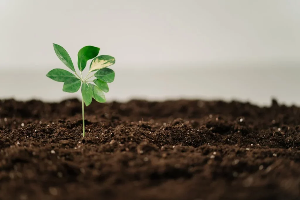 The Scientists Who Tried to Talk to Plants—And Thought They Talked Back: 15 Bizarre Botanical Experiments