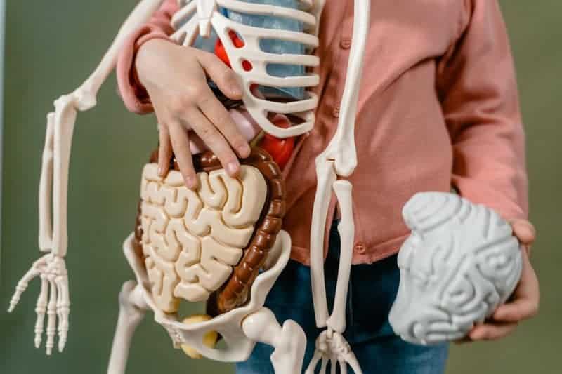 The Dark Matter of the Mind: The 95% of Your Brain You Never Use