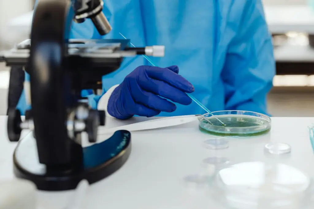 The Microscopic Vampire That Could Cure Candida Infections