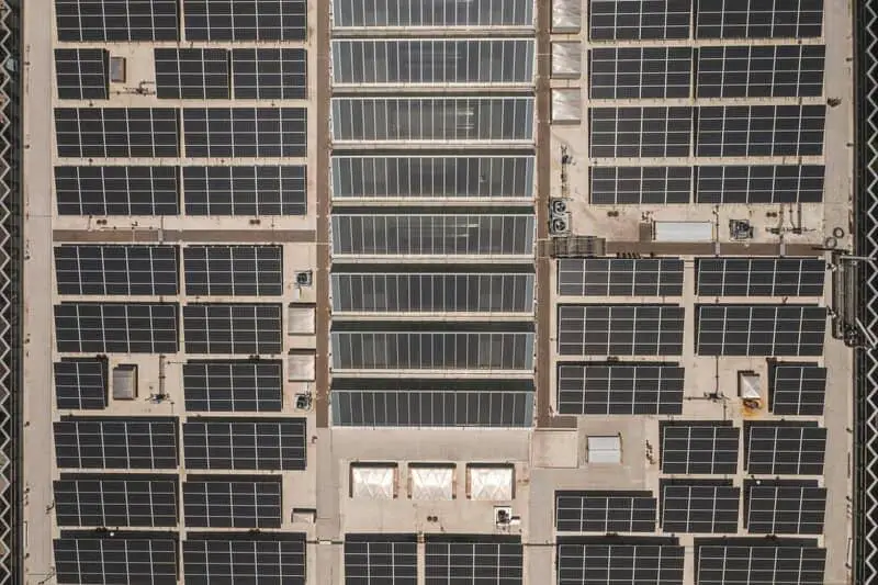 15 Ways Scientists Are Tackling the Climate Crisis Right Now