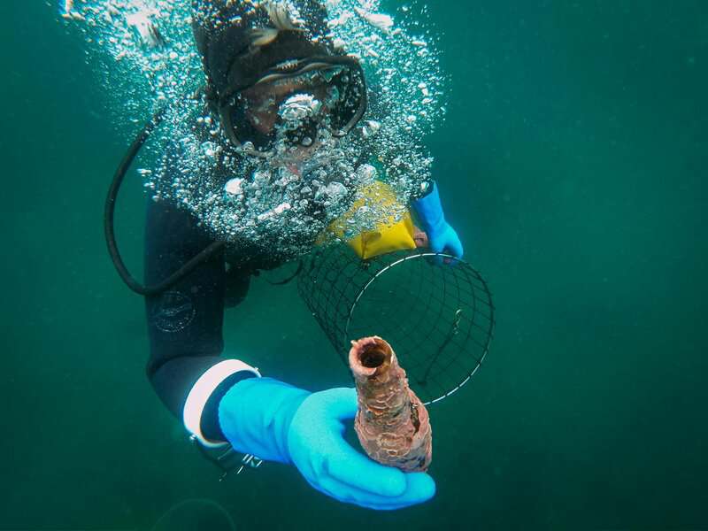 The Ocean Floor Is Moving Sideways at the Speed Your Fingernails Grow