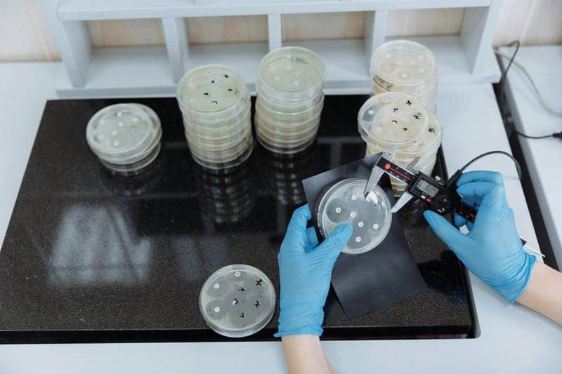 Scientists Say We May Have Been Wrong About the Origin of Life