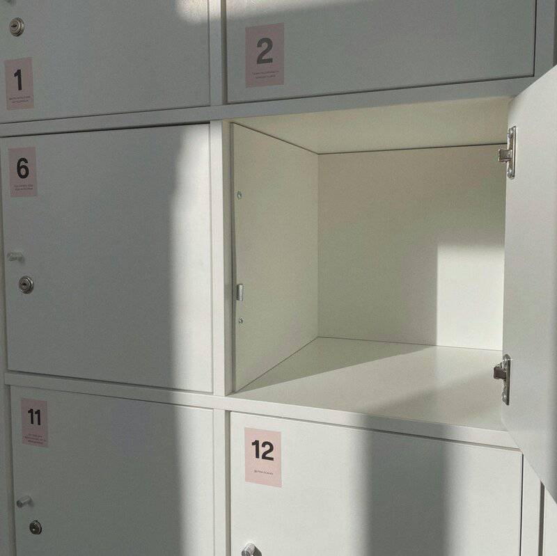 Why the Most Organized People You Know Are Actually Hiding a Dark Secret