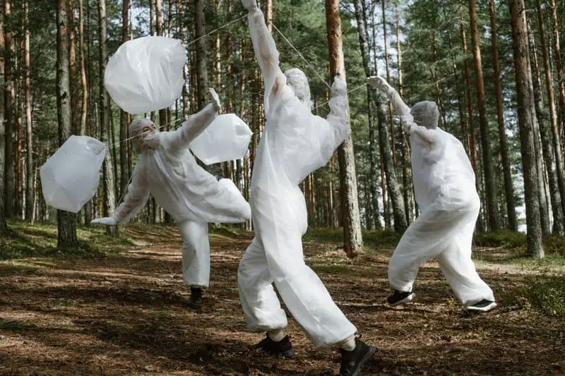The 106-Acre Monster: How One Living Thing Became an Entire Forest