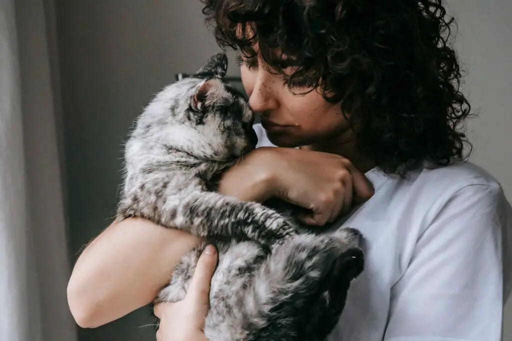 The Science Behind Why Cats Purr: Understanding Your Feline’s Communication