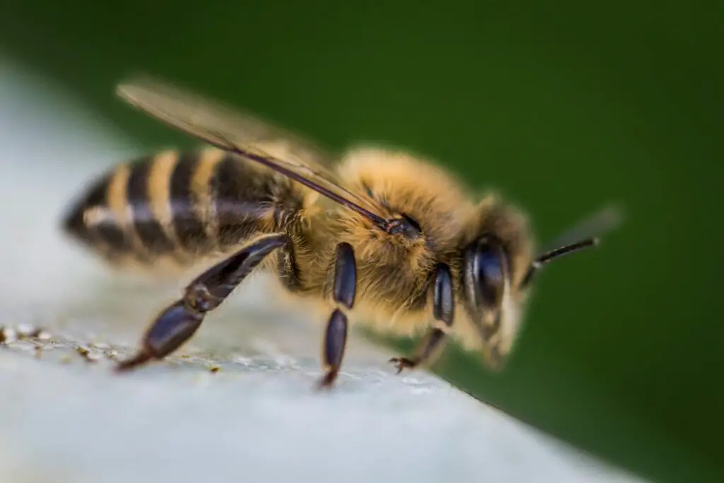 15 Strange Research Projects You Won’t Believe Got Funded