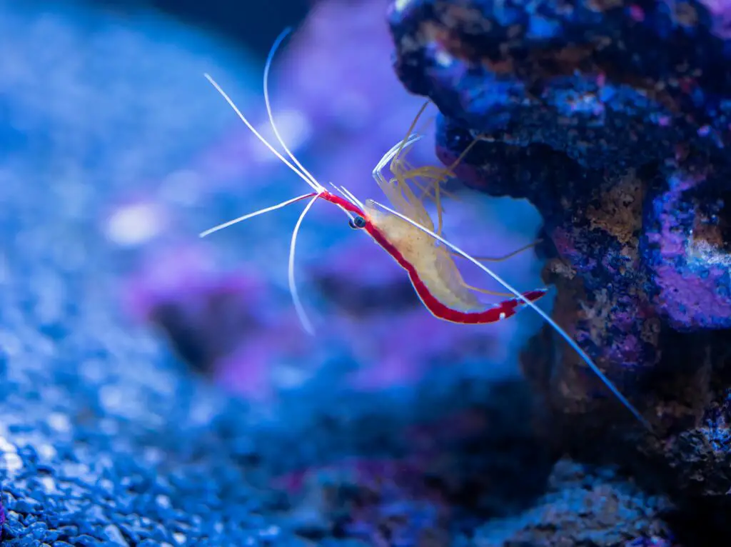 15 Strange Research Projects You Won’t Believe Got Funded