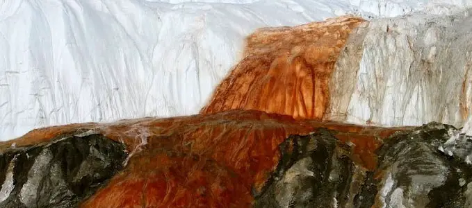 Antarctica Is Bleeding Red—And It’s Not What Climate Scientists Expected