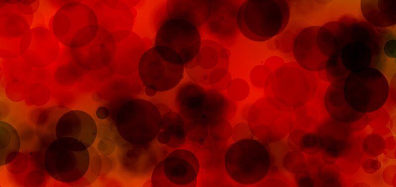 15 New Ways Scientists Are Reversing Aging in the Lab