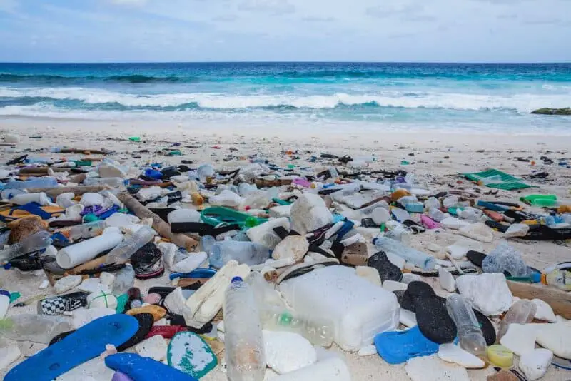 The Bacteria That Eat Plastic Waste Are Evolving Faster Than Expected