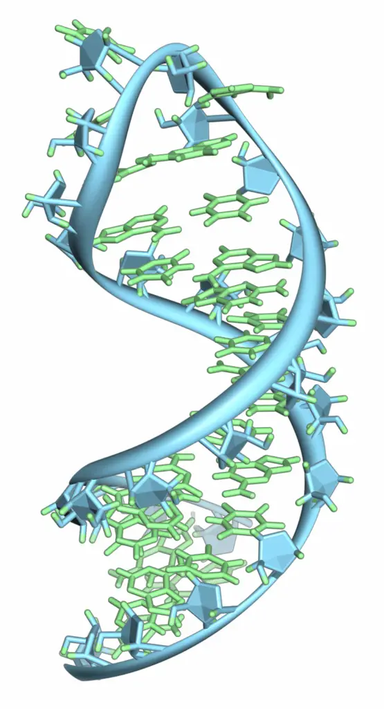 15 Steps from Non-Living to Living: How Life May Have Evolved