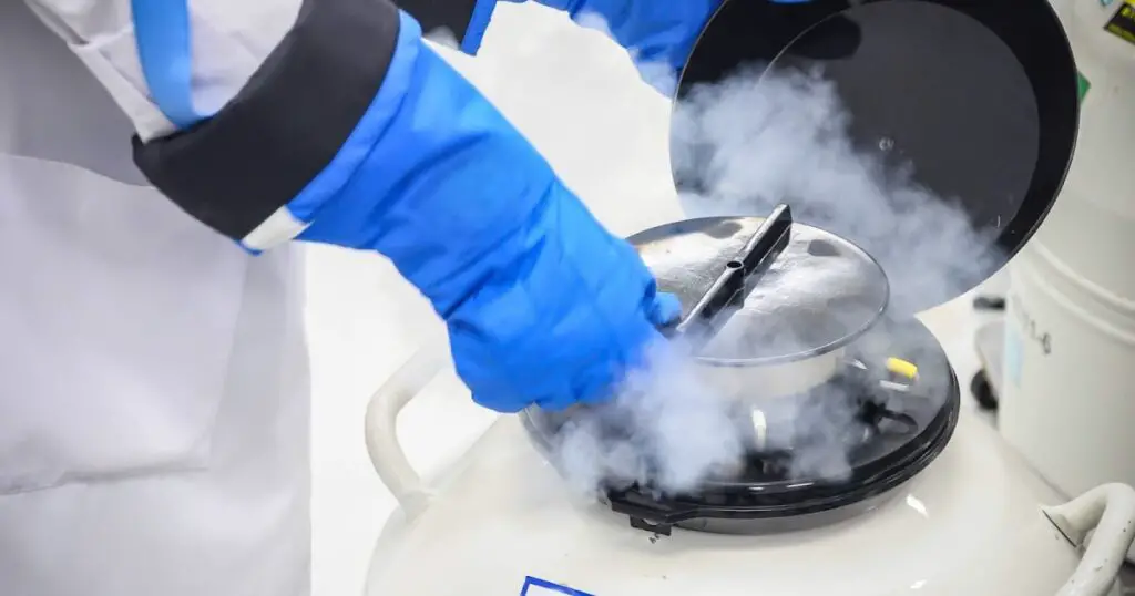 Giant Panda Stem Cells Could Save Endangered Species – Lab-Grown Conservation