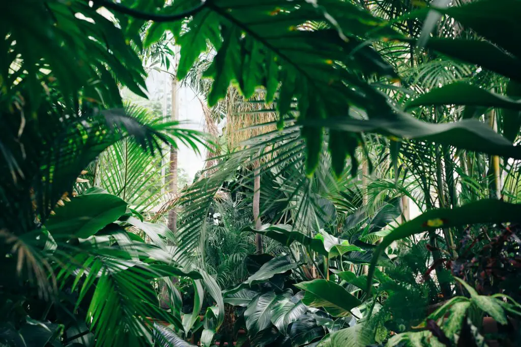 The Plant That Can Literally Eat Metal (And It’s Growing in Your Backyard)