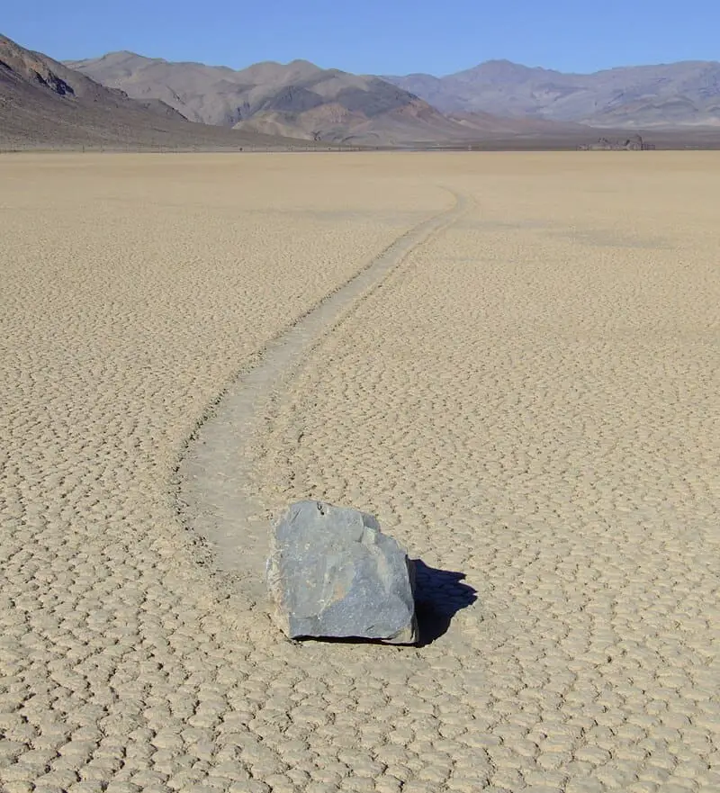 15 Times Nature Defied Science