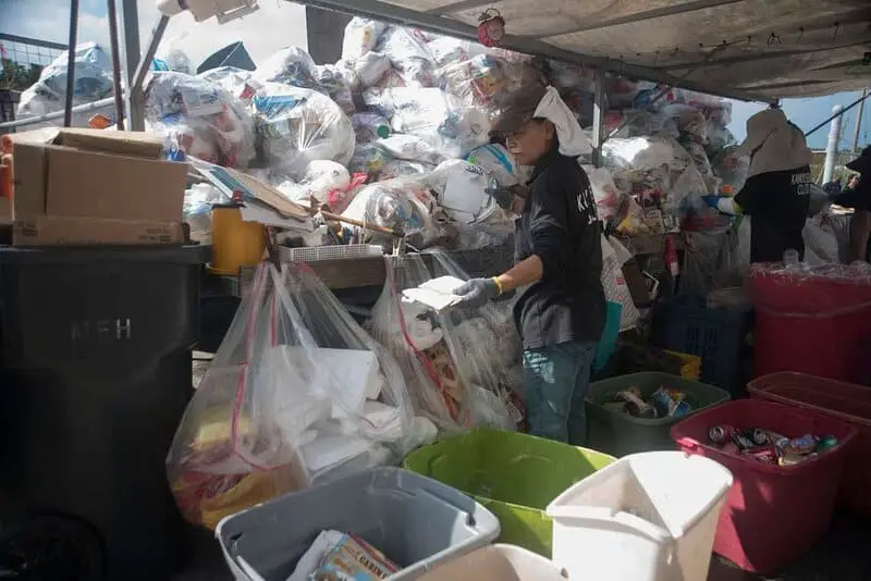 The Bacteria That Eat Plastic Waste Are Evolving Faster Than Expected